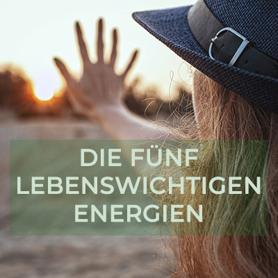 claudia-veith-vortrag-die-5-lebensnotwenigen-energien claudia-veith-vortrag-die-5-lebensnotwenigen-energien