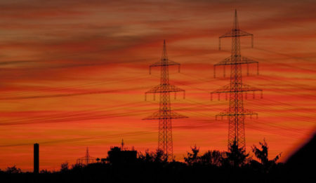 Haupthema: Elektrosmog | Rezept: Nervenkekse | Zitat: Glücklich sein